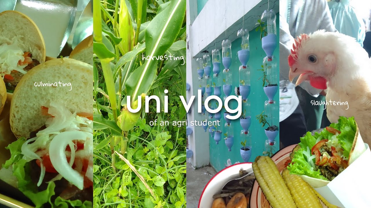 uni vlog• life of an agri-student, finals | Mille - YouTube