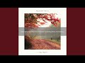 Funny Noise Of Woods For Chill Out And Happy Mornings