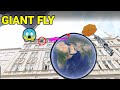 Here i find a giant fly in google earth  finder yashva mrbeast