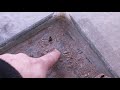 BEARDED DRAGON RESCUED FROM ABANDONED HOME IN WINTER EP4 | LOOK AT HER OLD HOME!