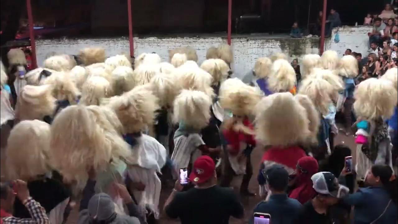 Tastoanes Mezquitera Sur 2022 (02 Agosto) - YouTube