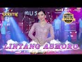 Lintang asmoro  rena movies   simpatik music official live music