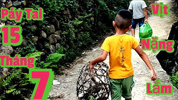 Páy Tai  Đi Tết Ngoại 15 Tháng 7 Tết Dân Tộc Tày - Nùng _Lạng Sơn