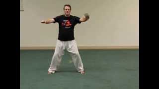 Tracy Kenpo: Short Form 2