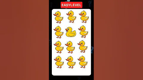 Find the odd one out | Animal Edition 🔎✅ #animals #oddoneout #shorts