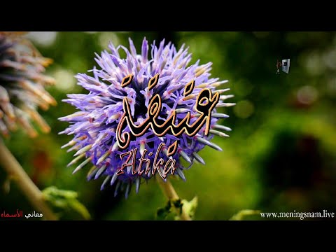 معنى اسم عتيقة وصفات حاملة هذا الاسم 