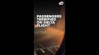 Celebrity TERRIFYING moments on Delta flight after engine catches fire Profile