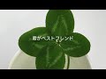 君はベストフレンド You&rsquo;re My Best Friend 2021 05 14