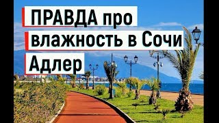 🔴🔴 ВСЯ ПРАВДА ПРО ВЛАЖНОСТЬ и БОЛЕЗНИ в Сочи и Адлер.Сочи 2019.Отдых в Адлере. 🔴🔴 ВСЯ ПРАВДА ПРО ВЛАЖНОСТЬ и БОЛЕЗНИ в Сочи и Адлер.Сочи 2019.Отдых в Адлере.
