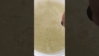 2023-05-05: Mixing 50 lbs of sugar + 5 gallons of water between 2 food-grade 5 gallons buckets #bees