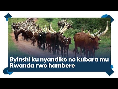 Amateka Tutabwirwa Ku Nyandiko No Kubara Mu Rwanda Rwo Hambere