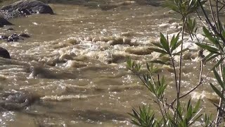 Muere una mujer arrastrada por un río en Vélez-Málaga (Málaga)