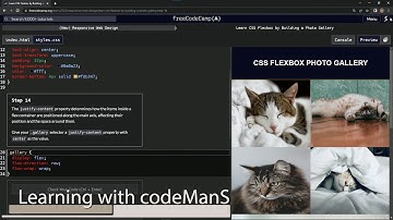 (ARCHIVED) | freeCodeCamp (New) Responsive Web Design  -  Building a Photo Gallery: Step 14