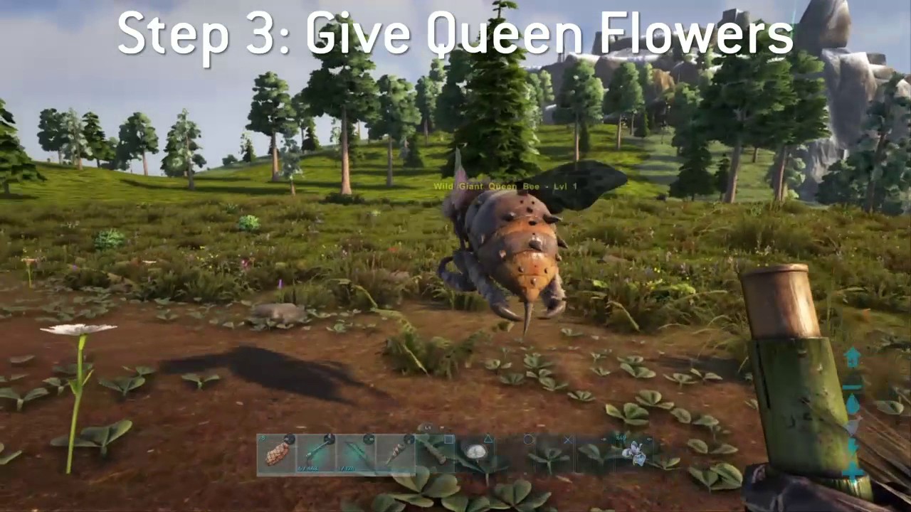 How To Tame A Queen Bee