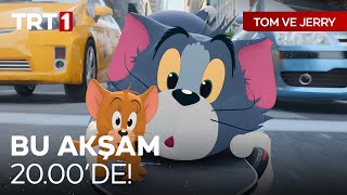 Tom Ve Jerry Bu Akşam Saat 20.00De Trt 1De.