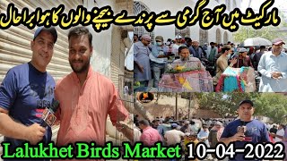 Lalukhet Birds Market Sunday video Latest update 10- 04-2022 Urdu\/ Hindi