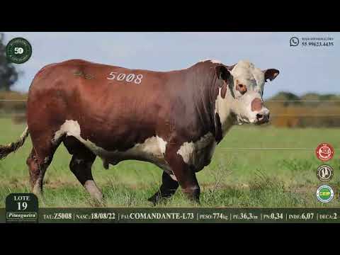 LOTE 19  Z5008