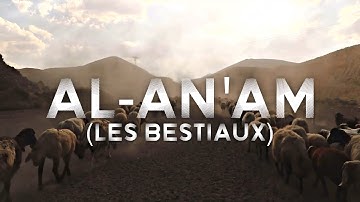 Sourate/Coran Al-An'am (Les béstiaux) (سورة الأنعام) - Magnifique Récitation Qui Apaise le Cœur
