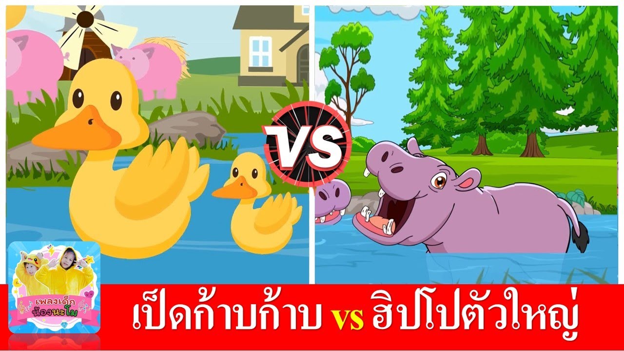 เป็ดก้าบก้าบ vs ฮิปโปตัวใหญ่