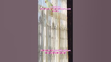 تلاوه خاشعه من الذكر الحكيم #birds #parrotparrot #foryou #parrot #اكسبلور #cutebird #love