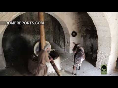 nazareth-village:-a-look-at-how-jesus-grew-up-and-what-inspired-his-parables-|-world