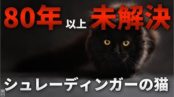 【シュレーディンガーの猫】多くの天才物理学者を悩ませた未解決パラドックス