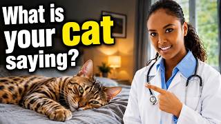 Cat sleeping positions explained - what each one really means