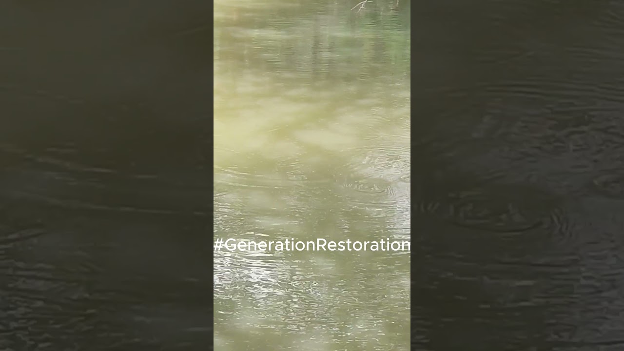 Ripple Therapy #relaxation #healing #generationrestoration