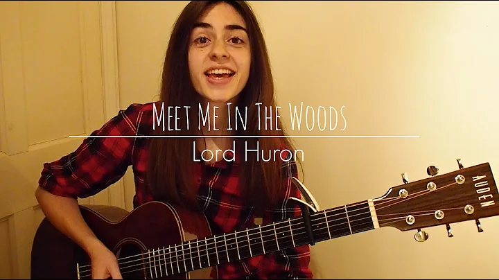 Урок игры на гитаре: Lord Huron - Meet Me In The Woods
