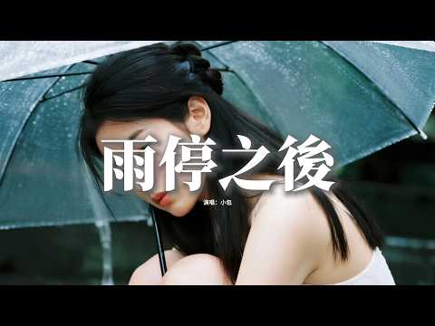 小包 - 雨停之後『雨停之後我還在等候，等一句沒說完的以後，風吹過治癒不了傷口，可卻吹不散你的溫柔。』【動態歌詞MV】