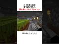 スイカを1週間育て続けてたら賞金首にされたプレイヤー
