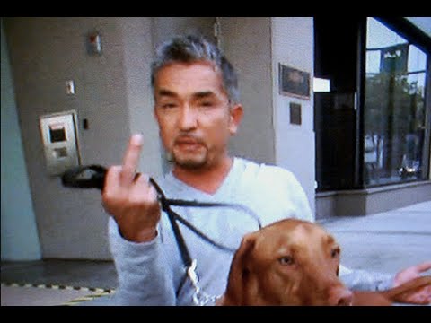 cesar millan vegan
