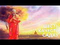 Сатсанг "Шесть качеств садху". Свами Вишнудевананда Гири