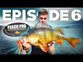 PERCH PRO 6 - Episode 6 (With Live reactions)
