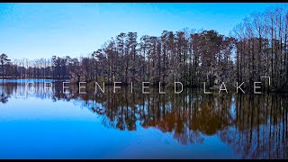 (4K) Greenfield Lake | Aerial Experience