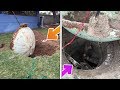 TOP 5 Strangest Things Found In PEOPLES BACKYARDS! Unexplained Mysterious Underground Discoveries