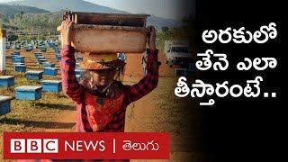 Araku - Honey Farming:  ''   | BBC Telugu