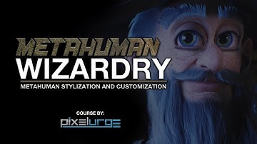 Metahuman Wizardry: Metahuman Stylization and Customization
