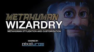 Metahuman Wizardry: Metahuman Stylization and Customization
