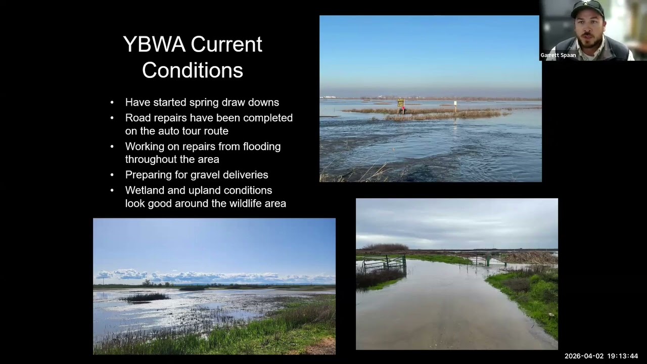 Updates of the YBWA - Flyway Nights April 2026