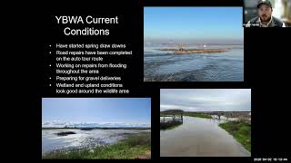 Famous Updates of the YBWA -  Flyway Nights April 2026 Net Worth