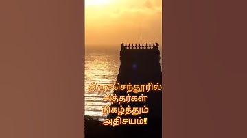 திருச்செந்தூரில் சித்தர்கள் நிகழ்த்தும் அதிசயம்!#tiruchendur #murugan #story #shorts #god #travel