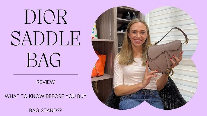 Dior Saddle Bag Unboxing and Review — The Ordinary Wongs