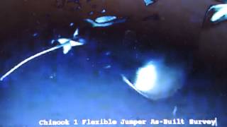 What mysteries abound in Gulf of Mexico!