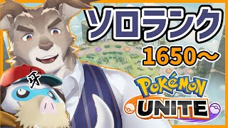 【マンムー5位/ポケモンユナイト】牙が強いらしいので牙で行くソロランク（1650～）【Vtuber/ダン坊】