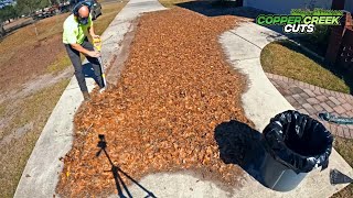 How NOT to price a leaf cleanup...