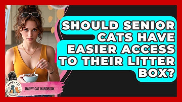 Should Senior Cats Have Easier Access To Their Litter Box? - Happy Cat Handbook