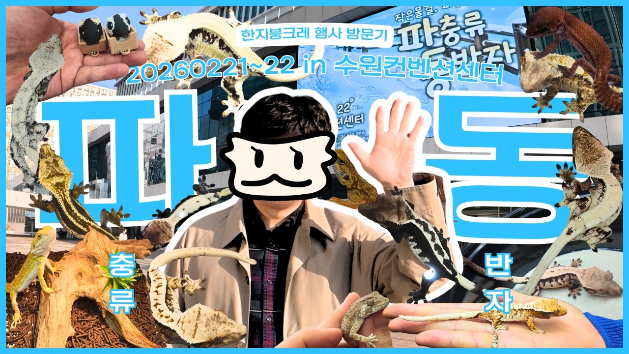 [2026 작은물결:파동] 수원컨벤션센터 다녀왔습니다! 🦎 크레 보러 갔다가 비주류 & 귀여운 용품까지 득템 (feat. 한지붕크레)