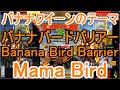 スーパードンキーコング3 BGM バナナクイーンのテーマ