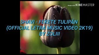 SHAVI - FEKETE TULIPÁN (OFFICIAL LETRA MUSIC VIDEO 2K19) BY ZOLIII